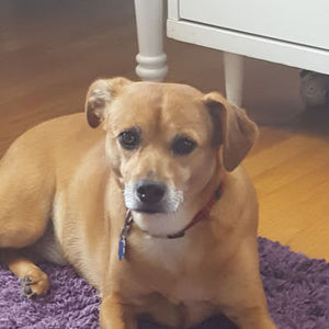 Meet your Posher, Isabella